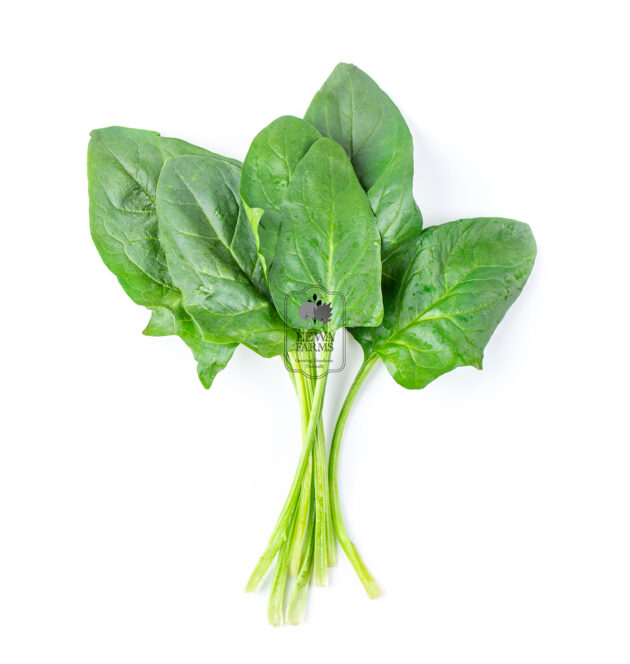 Spinach (Hydroponically Grown) - Eewa Farms