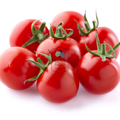 Cherry Tomatoes (Hydroponically Grown) - Eewa Farms