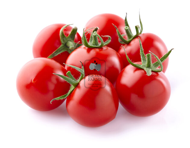 Cherry Tomatoes (Hydroponically Grown) - Eewa Farms