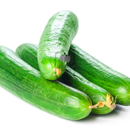 Seedless Cucumber (Hydroponically Grown) - Eewa Farms