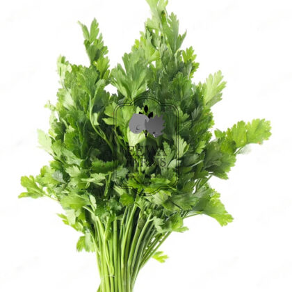 Celery (Hydroponically Grown) - Eewa Farms