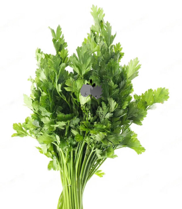 Celery (Hydroponically Grown) - Eewa Farms