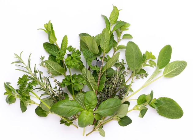 Herb Mix (Hydroponically Grown) - Image 3