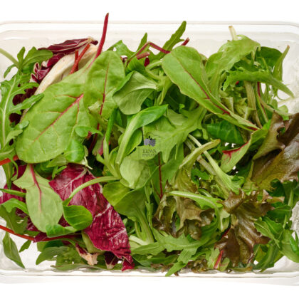 Salad Mix (Hydroponically Grown) - Eewa Farms