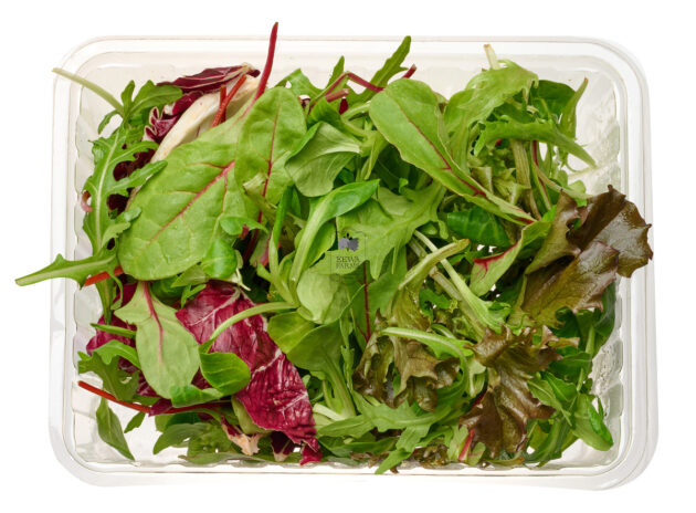 Salad Mix (Hydroponically Grown) - Eewa Farms