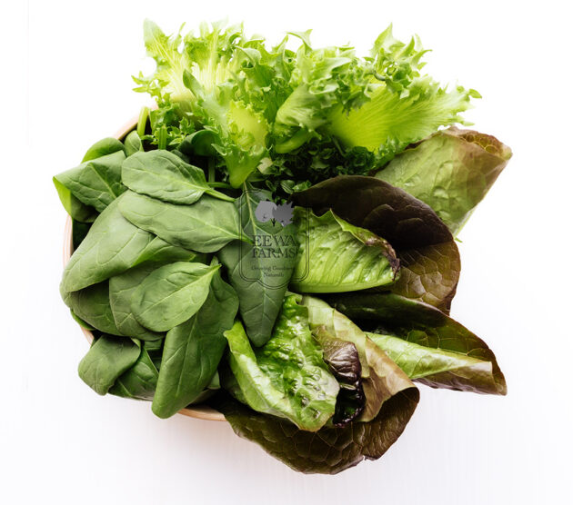 Leafy Green Mix (Hydroponically Grown) - Eewa Farms