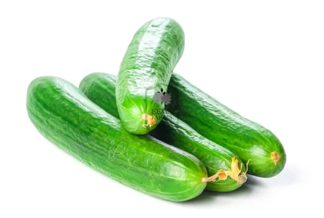 Seedless Cucumber (Hydroponically Grown)