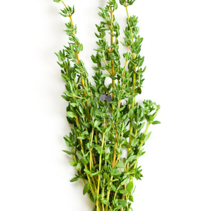 Thyme (Hydroponically Grown) - Eewa Farms