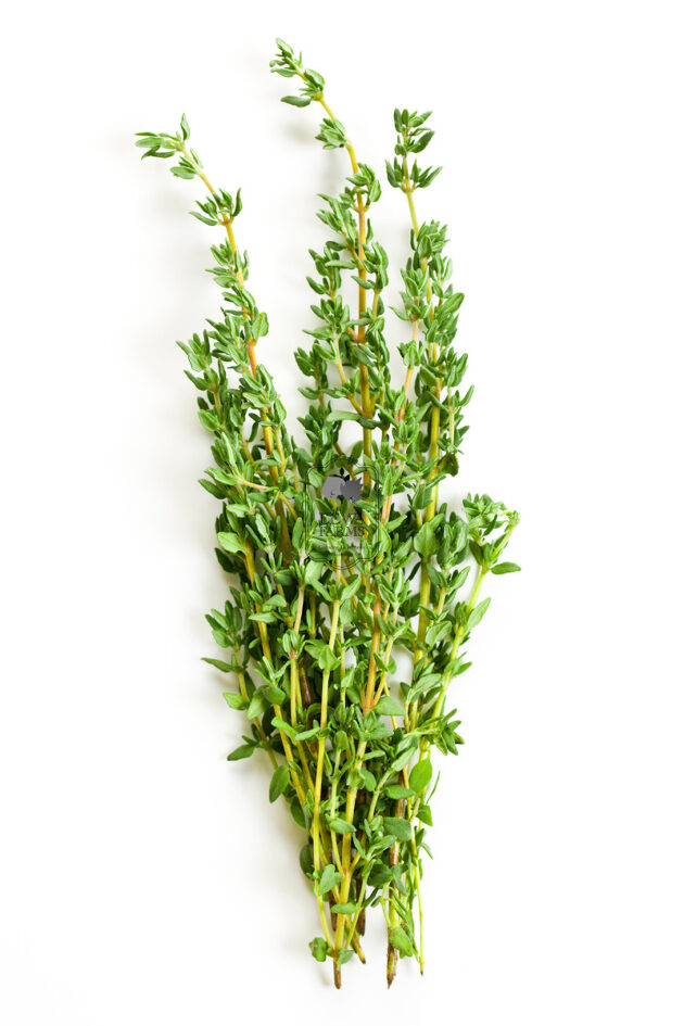 Thyme (Hydroponically Grown) - Eewa Farms