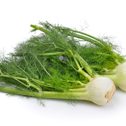 Fennel Leaves (Hydroponically Grown) - Eewa Farms