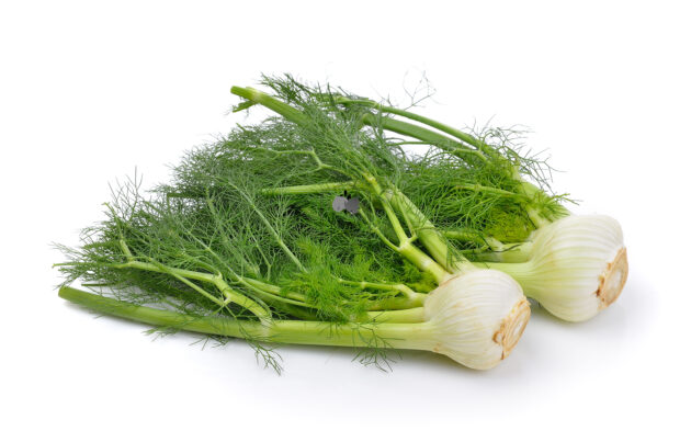 Fennel Leaves (Hydroponically Grown) - Eewa Farms