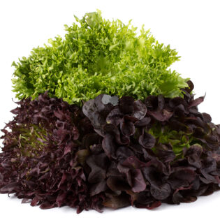 Mix Lettuce