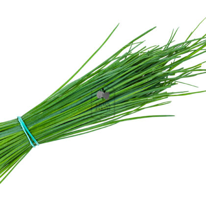 Chives (Hydroponically Grown) - Eewa Farms