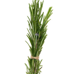 Rosemary