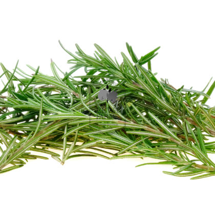 Rosemary (Hydroponically Grown) - Eewa Farms