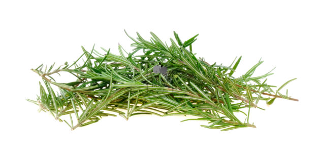 Rosemary (Hydroponically Grown) - Eewa Farms