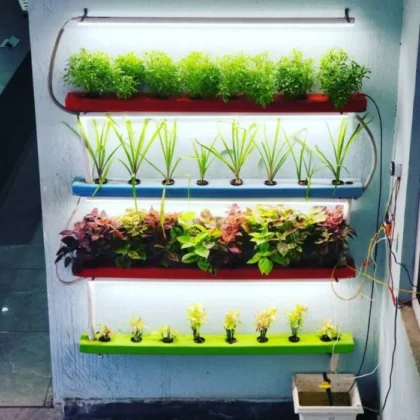 32 Plants Wall Mounted Indoor Hydroponics Setup Eewa Farms