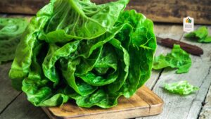 10 Benefits of Butterhead Lettuce You Didn’t Know About