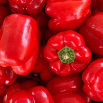 Red Bell Peppers (Hydroponically Grown)