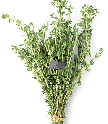 Thyme (Hydroponically Grown) - Eewa Farms